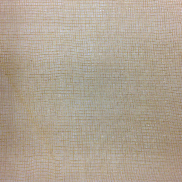 160 Sheers 045 by Europatex Designer Fabric 160 Sheers Collection 100% Polyester 0.00" 110.00 inches - Swanky Fabrics -