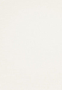 Lyra Bone 16602 by Schumacher Designer Fabric