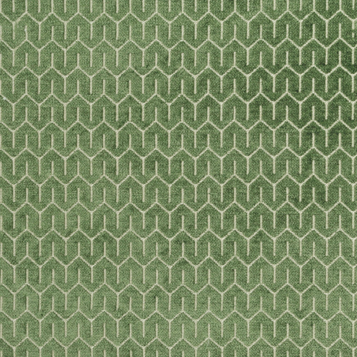 Petite Grass 321 by P Kaufmann Fabrics Designer Fabric