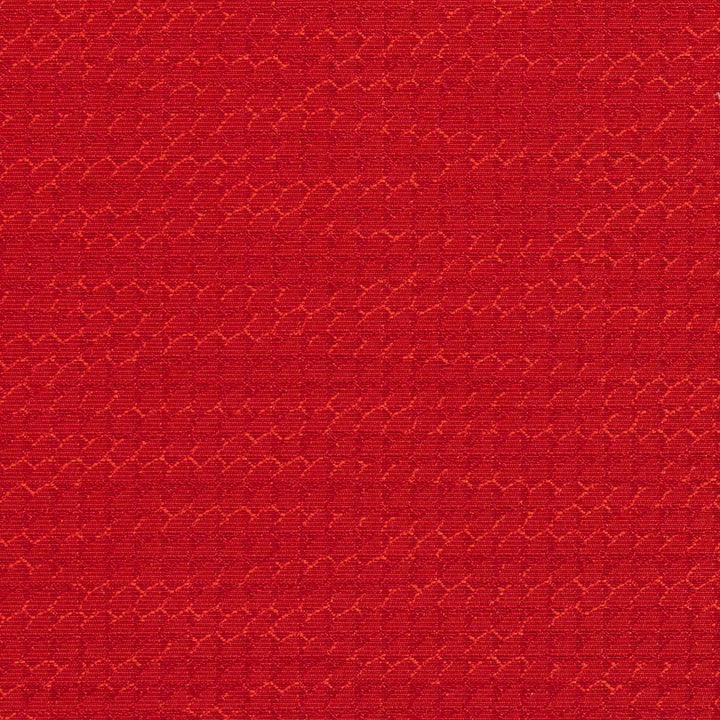1706 Cherry by Charlotte Designer Fabric Durables 100% Recycled Polyester Made In USA Exceeds 100,000 Wyzenbeek Rubs (Heavy Duty) No Repeat 54 Inches - Swanky Fabrics -