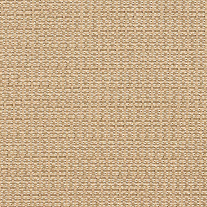 1713 Birch by Charlotte Designer Fabric Durables 100% Recycled Polyester Made In USA Exceeds 100,000 Wyzenbeek Rubs (Heavy Duty) No Repeat 54 Inches - Swanky Fabrics -