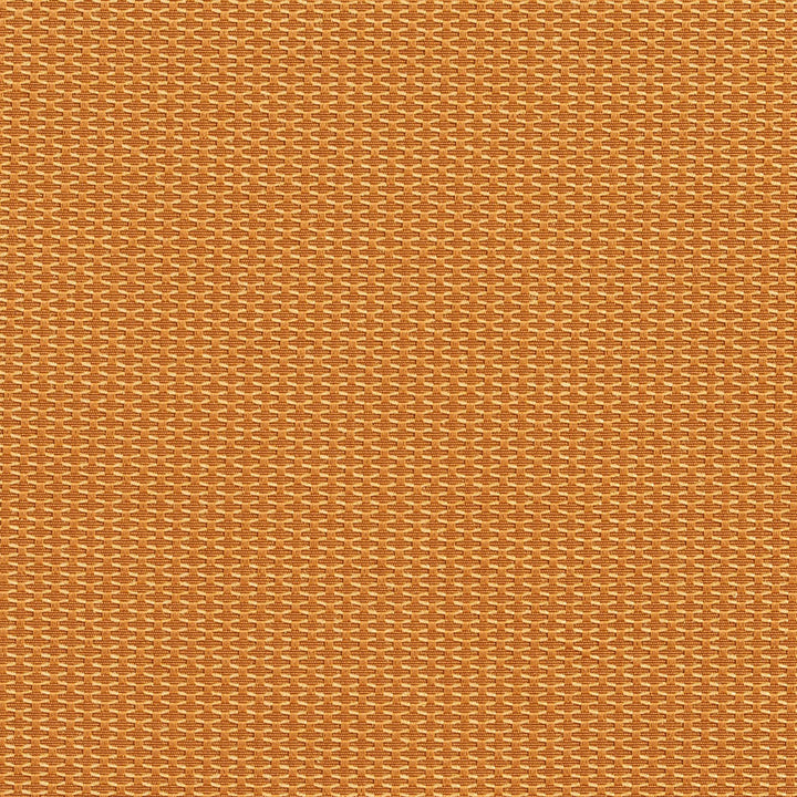 1717 Bullion by Charlotte Designer Fabric Durables 100% Recycled Polyester Made In USA Exceeds 100,000 Wyzenbeek Rubs (Heavy Duty) No Repeat 54 Inches - Swanky Fabrics -