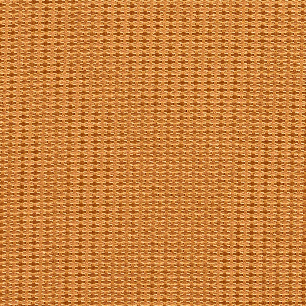 1717 Bullion by Charlotte Designer Fabric Durables 100% Recycled Polyester Made In USA Exceeds 100,000 Wyzenbeek Rubs (Heavy Duty) </p><p>Repeat: 54 Inches - Swanky Fabrics -