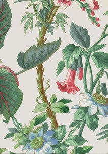 Palmetto Garden Tropic 172951 by Schumacher Designer Fabric