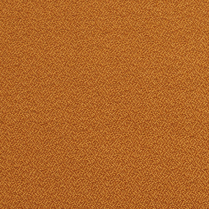 1729 Nugget by Charlotte Designer Fabric Durables 100% Recycled Polyester Made In USA Exceeds 100,000 Wyzenbeek Rubs (Heavy Duty) No Repeat 54 Inches - Swanky Fabrics -