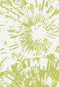 Fireworks Spring 173992 by Schumacher Designer Fabric