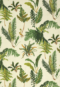 Les Fougeres Document 174090 by Schumacher Designer Fabric