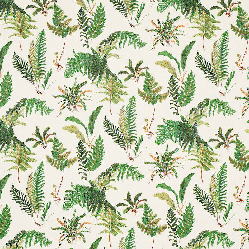 Les Fougeres Document 174090 by Schumacher Fabric Schumacher Fabric Les Fougeres Document 174090Fabric LINEN 100% BELGIUM </p><p>Repeat: H: HORZ. 18" (46CM) , V: VERT. 25 1/4" (64CM) 54 - Fabric Carolina -