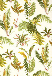 Les Fougeres Spring 174091 by Schumacher Designer Fabric