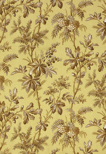 Brantwood Vine Pear 174110 by Schumacher Designer Fabric