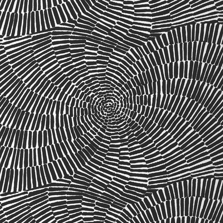 Sonriza Print Black 174243 by Schumacher Fabric Schumacher Fabric Sonriza Print Black 174243Fabric ACRYLIC TWILL 100% UNITED STATES OF AMERICA </p><p>Repeat: H: HORZ. 52" (132CM), V: VERT. 18" (46CM) 52 - Fabric Carolina -