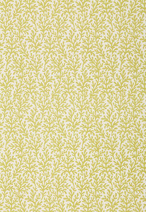 Sea Coral Chartreuse 174462 by Schumacher Designer Fabric