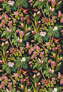 Seychelles Noir 175700 by Schumacher Designer Fabric