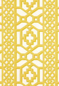 Zanzibar Trellis Matte Canary 175740 by Schumacher Designer Fabric