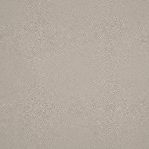 Constellation Indoor/Outdoor Shell 175881 by Schumacher Designer Fabric