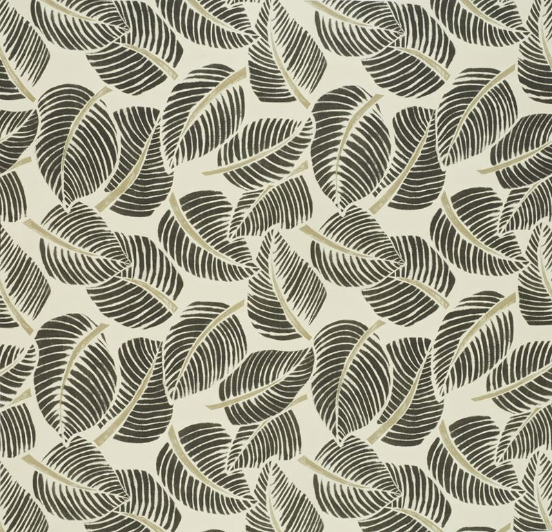 Costa Rica Faded Black 176193 by Schumacher Designer Fabric Good-Vibrations 100% Cotton Martindale 20,000 Horizontal: 55 and Vertical: 47 55 - Swanky Fabrics -