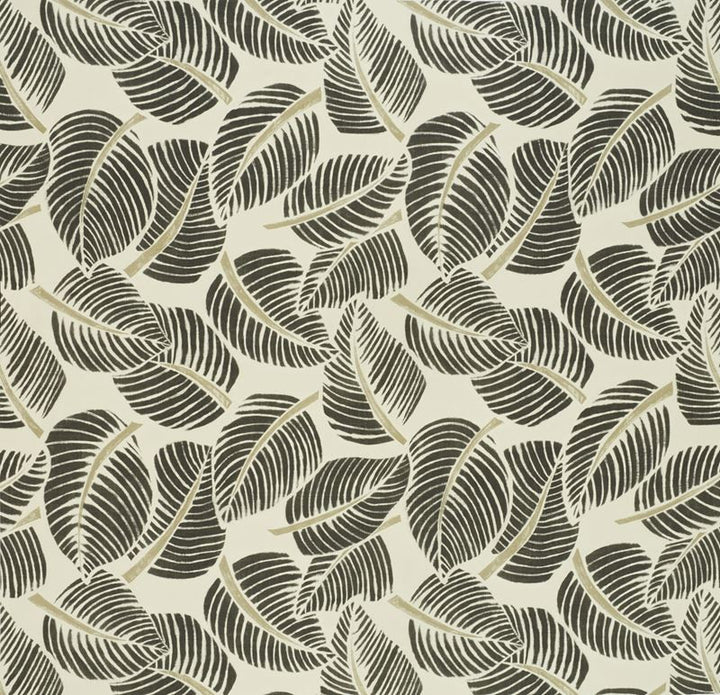 Costa Rica Faded Black 176193 by Schumacher Designer Fabric Good-Vibrations 100% Cotton Martindale 20,000 Horizontal: 55 and Vertical: 47 55 - Swanky Fabrics -