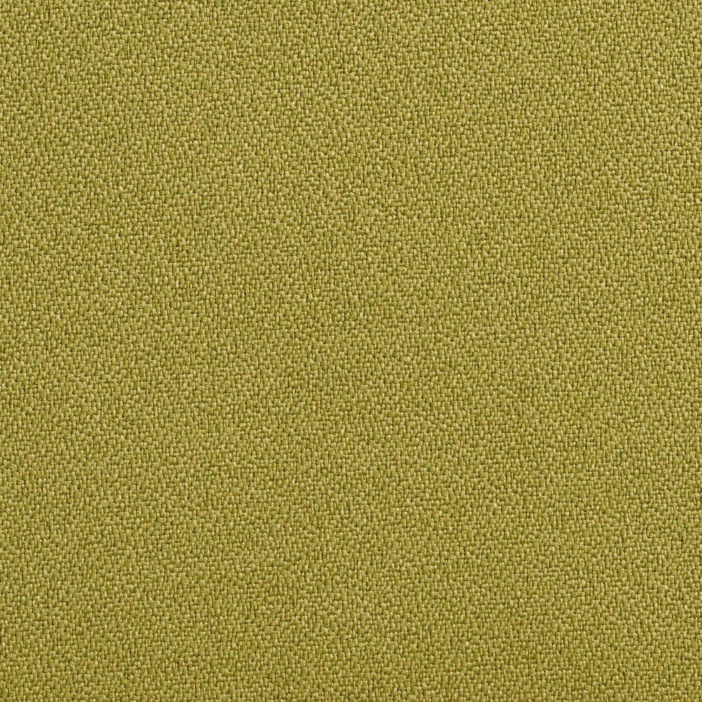 1763 Aloe by Charlotte Designer Fabric Durables 100% Recycled Polyester Made In USA Exceeds 100,000 Wyzenbeek Rubs (Heavy Duty) </p><p>Repeat: 54 Inches - Swanky Fabrics -