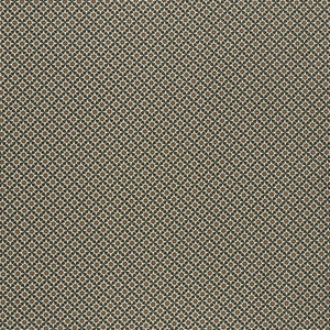 Serendipity Cinder & Caramel 176420 by Schumacher Designer Fabric