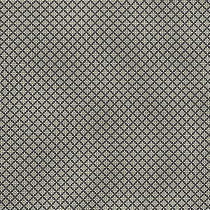 Serendipity Black & Taupe 176421 by Schumacher Designer Fabric
