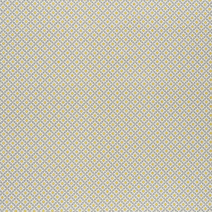 Serendipity Bay & Citron 176426 by Schumacher Designer Fabric