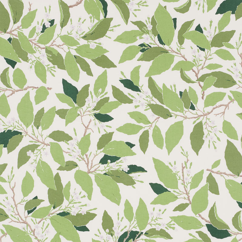 Dogwood Leaf Ivory 176520 by Schumacher Fabric Schumacher Fabric Dogwood Leaf Ivory 176520Fabric COTTON 100% PAKISTAN </p><p>Repeat: H: HORZ. 27" (69CM) , V: VERT. 32" (81CM) 54 - Fabric Carolina -