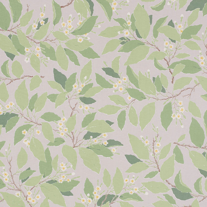 Dogwood Leaf Grisaille 176521 by Schumacher Fabric Schumacher Fabric Dogwood Leaf Grisaille 176521Fabric COTTON 100% PAKISTAN </p><p>Repeat: H: HORZ. 27" (69CM) , V: VERT. 32" (81CM) 54 - Fabric Carolina -