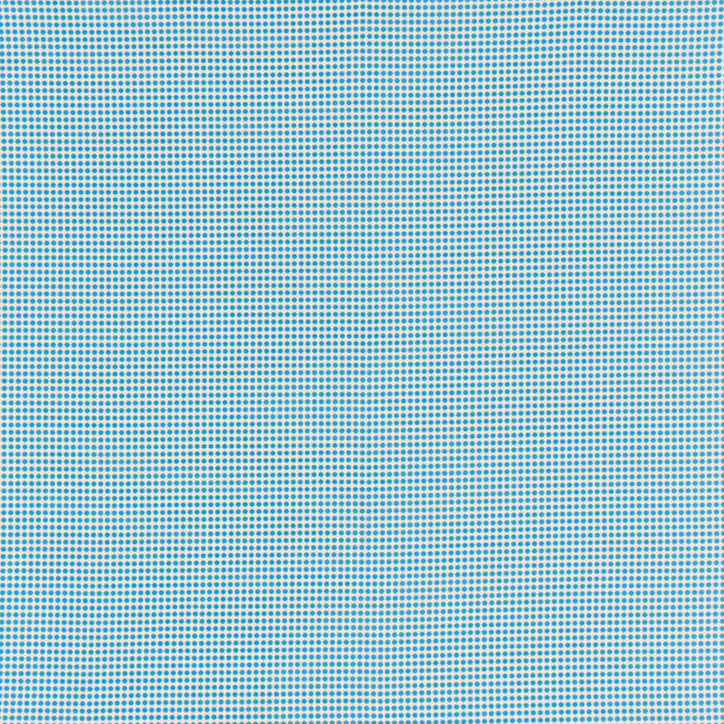 Stella Ii Aqua 176573 by Schumacher Fabric Schumacher Fabric Stella Ii Aqua 176573Fabric ACRYLIC PLAIN WEAVE 100% UNITED STATES OF AMERICA </p><p>Repeat: H: HORZ. 3/8" (1CM), V: VERT. 3/8" (1CM) 54 - Fabric Carolina -