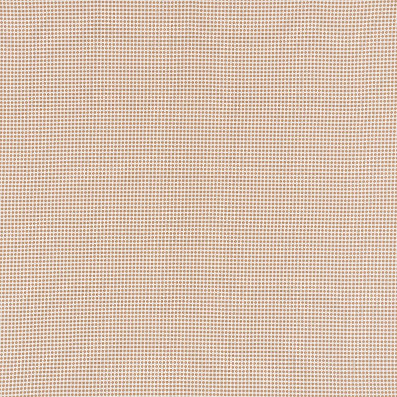 Stella Ii Sand 176574 by Schumacher Designer Fabric INDOOR/OUTDOOR STUDIO BON ACRYLIC PLAIN WEAVE 100% UNITED STATES OF AMERICA WYZENBEEK 15,000 </p><p>Repeat: Horizontal: 3/8" (1CM) and Vertical: 3/8" (1CM) 54 - Swanky Fabrics -
