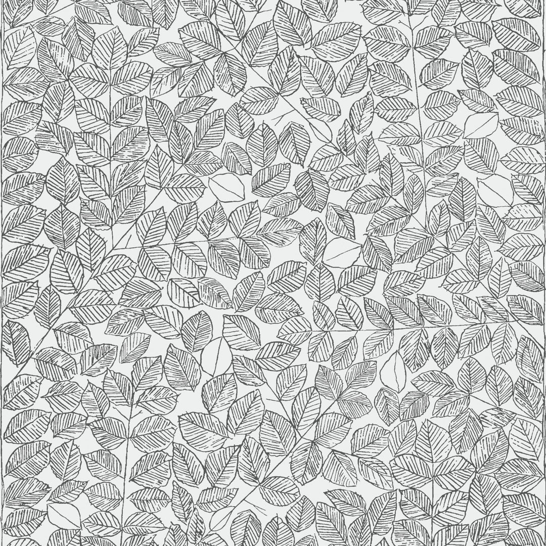 Romans Black 1766 by Schumacher Designer Wallcovering