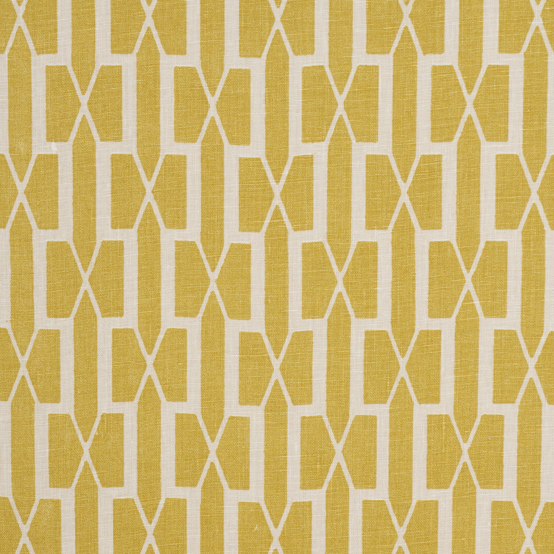 Belvedere Mimosa 177193 by Schumacher Designer Fabric