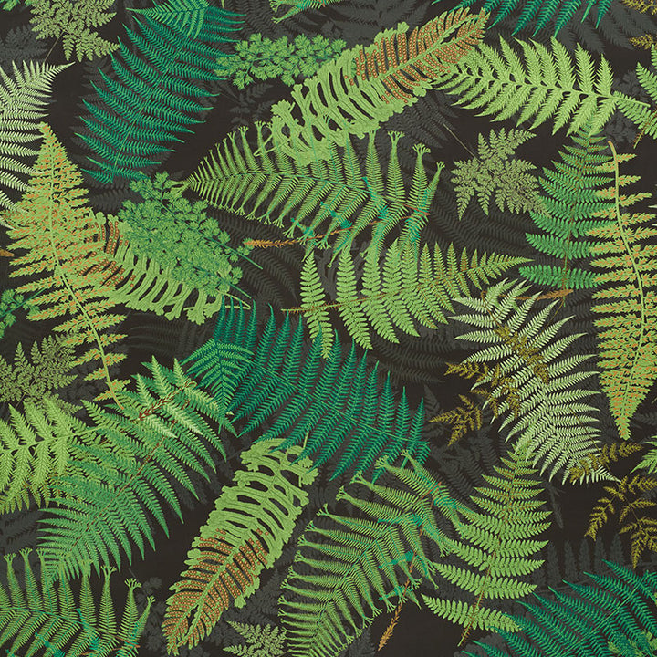 Fernarium Green & Black 177591 by Schumacher Designer Fabric CLEMENTS RIBEIRO See Sample UNITED KINGDOM - </p><p>Repeat: Horizontal: 54" (137CM) and Vertical: 94" (239CM) 56" (142CM) - Swanky Fabrics -
