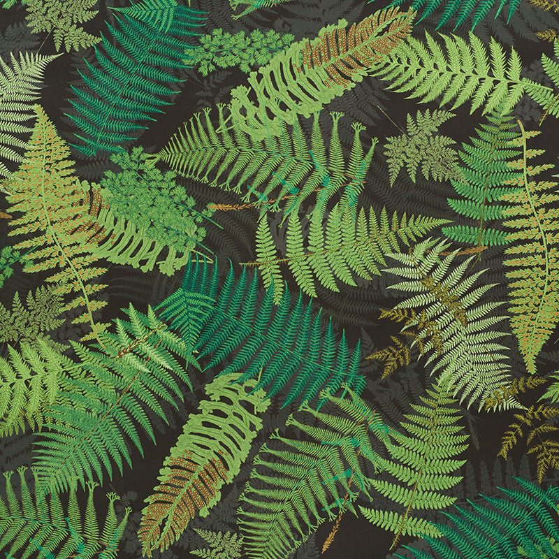 Fernarium Green & Black 177591 by Schumacher Fabric Schumacher Fabric Fernarium Green & Black 177591Fabric COTTON 100% UNITED KINGDOM </p><p>Repeat: H: 54" (137CM) , V: VERT. 94" (239CM) 56 - Fabric Carolina -