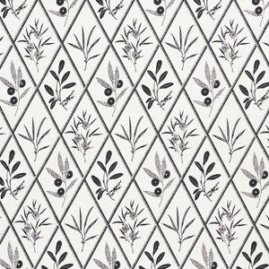 Endimione Carbon 177643 by Schumacher Designer Fabric