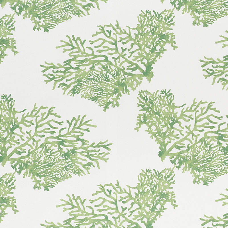 Great Barrier Reef II Green 178291 by Schumacher Designer Fabric Indooroutdoor-Prints-Wovens-Iv 100% Polyester Martindale 50,000 Horizontal: 26.5 and Vertical: 26.25 53.75 - Swanky Fabrics -