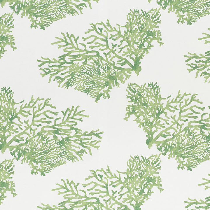 Great Barrier Reef II Green 178291 by Schumacher Designer Fabric Indooroutdoor-Prints-Wovens-Iv 100% Polyester Martindale 50,000 Horizontal: 26.5 and Vertical: 26.25 53.75 - Swanky Fabrics -
