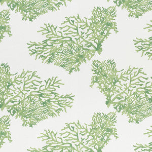 Great Barrier Reef Ii Green 178291 by Schumacher Designer Fabric