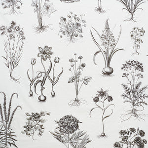 Cabot Botanical Large Ivory 178740 by Schumacher Designer Fabric