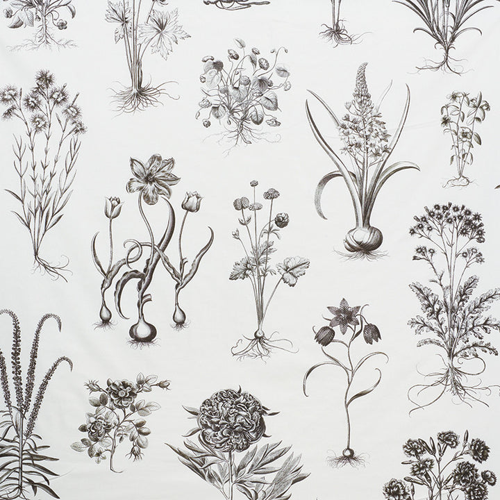 Cabot Botanical Large Ivory 178740 by Schumacher Fabric Schumacher Fabric Cabot Botanical Large Ivory 178740Fabric COTTON 100% UNITED KINGDOM </p><p>Repeat: H: HORZ. 111" (282CM) , V: VERT. 54 3/4" (142CM) 55.5 - Fabric Carolina -