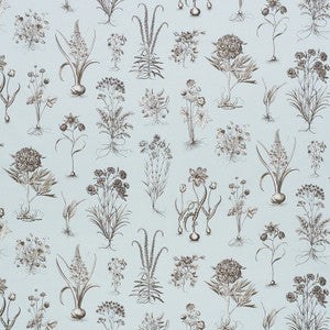 Cabot Botanical Sky 178750 by Schumacher Designer Fabric