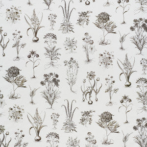 Cabot Botanical Ivory 178751 by Schumacher Designer Fabric