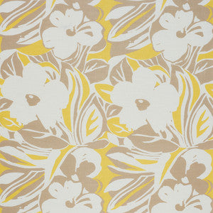 Stevie Neutral 178860 by Schumacher Designer Fabric