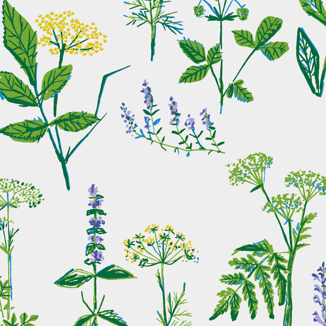 Köksväxter Leaf 1789 by Schumacher Designer Wallcovering