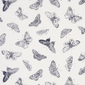 Burnell Butterfly Black 179430 by Schumacher Designer Fabric