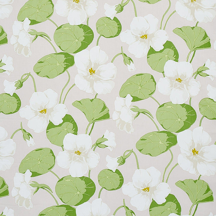 Nasturtium Stone 179492 by Schumacher Fabric Schumacher Fabric Nasturtium Stone 179492Fabric COMBED COTTON 100% PAKISTAN </p><p>Repeat: H: HORZ. 18" (46CM), V: VERT. 27" (69CM) 54 - Fabric Carolina -