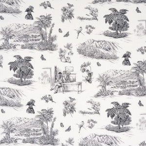 Toussaint Toile Black 180270 by Schumacher Designer Fabric