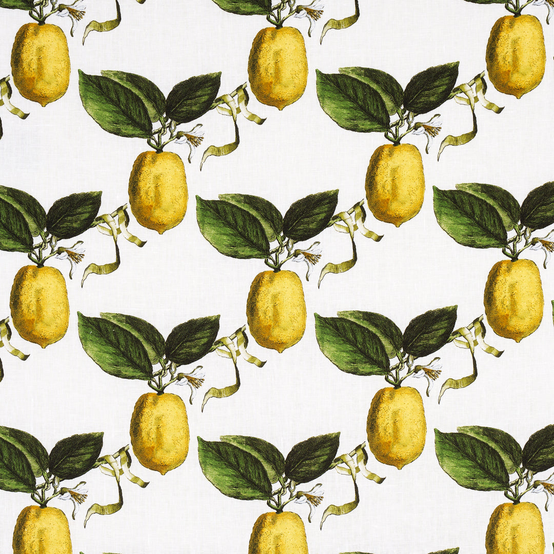 Le Citron Ivory 180630 by Schumacher Designer Fabric