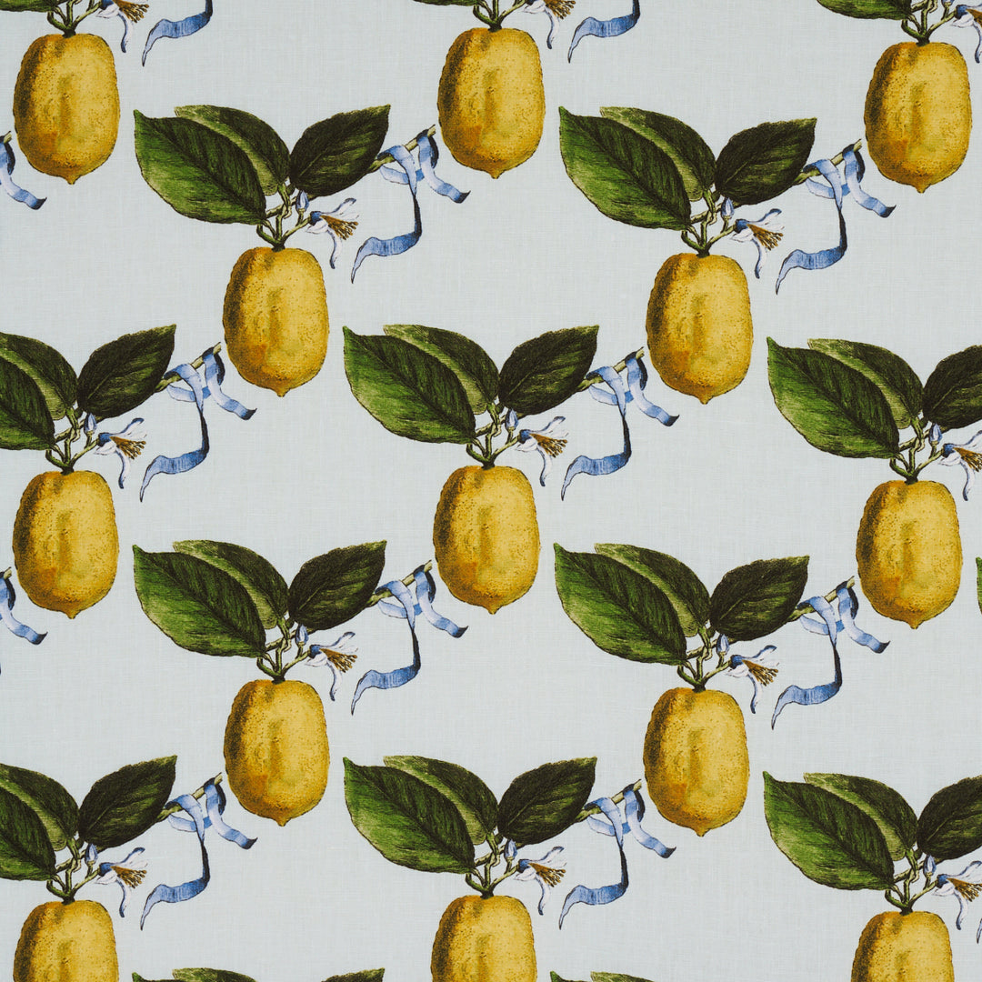 Le Citron Sky 180631 by Schumacher Designer Fabric