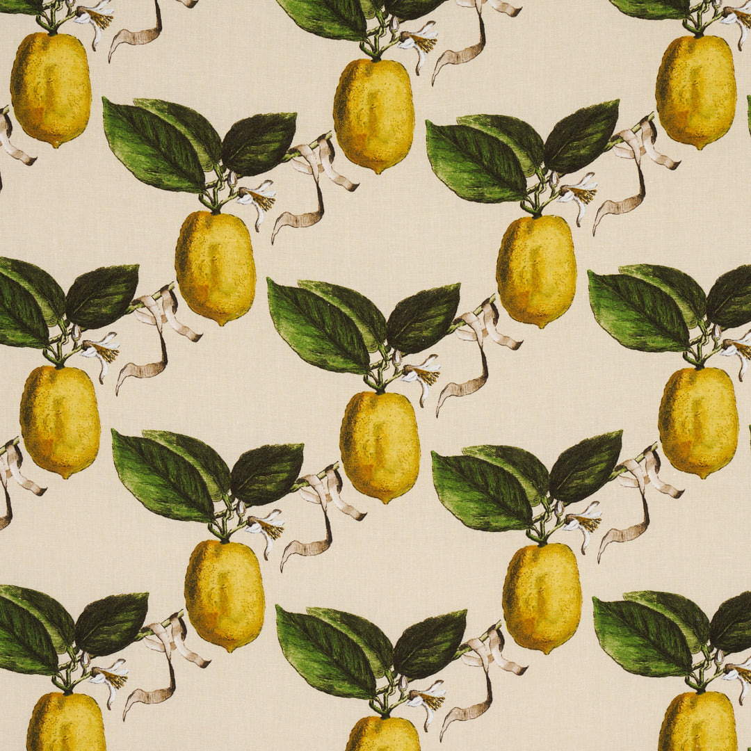 Le Citron Natural 180632 by Schumacher Designer Fabric