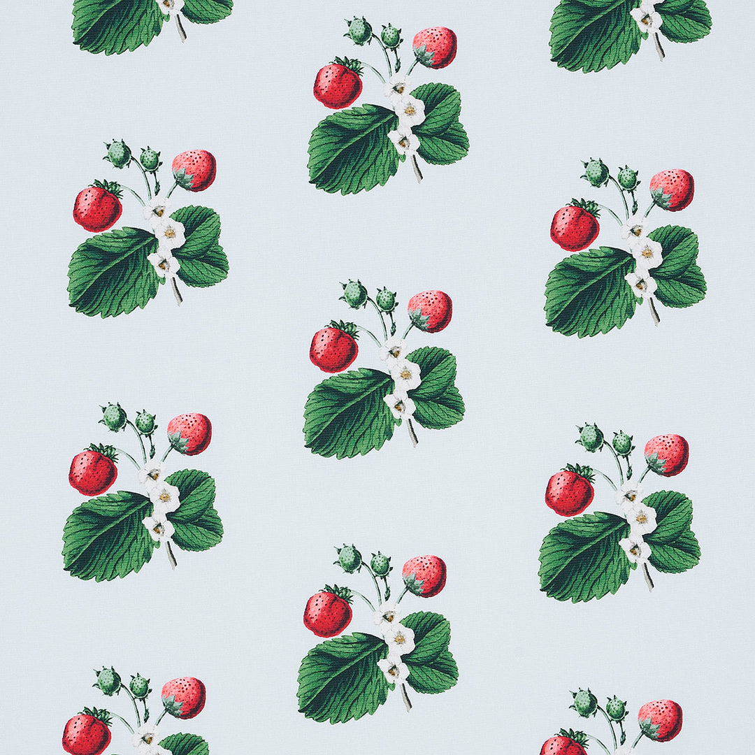 Strawberry Hill Sky 180641 by Schumacher Designer Fabric